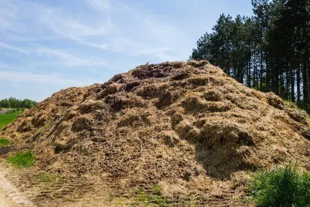  ritiro-rifiuti-agricoli